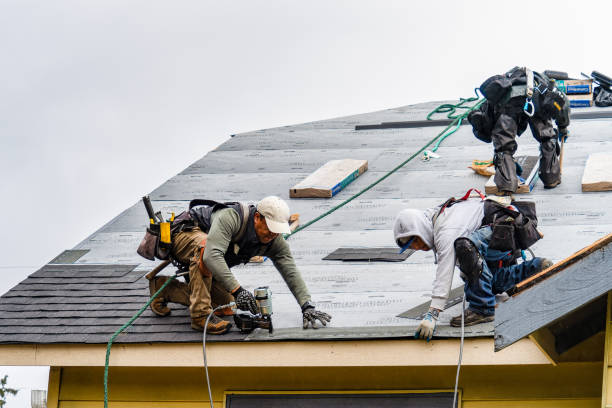 Professional Storm Damage Roof Repair technician working in Palisades, NY